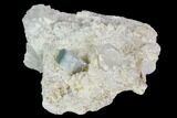Aquamarine and Quartz in Albite Crystal Matrix - Pakistan #111350-1